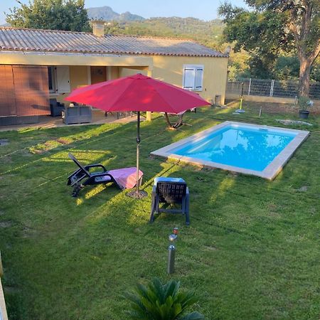 Agreable Rez De Jardin Avec Piscine Et Jacuzzi Διαμέρισμα Cervione Εξωτερικό φωτογραφία