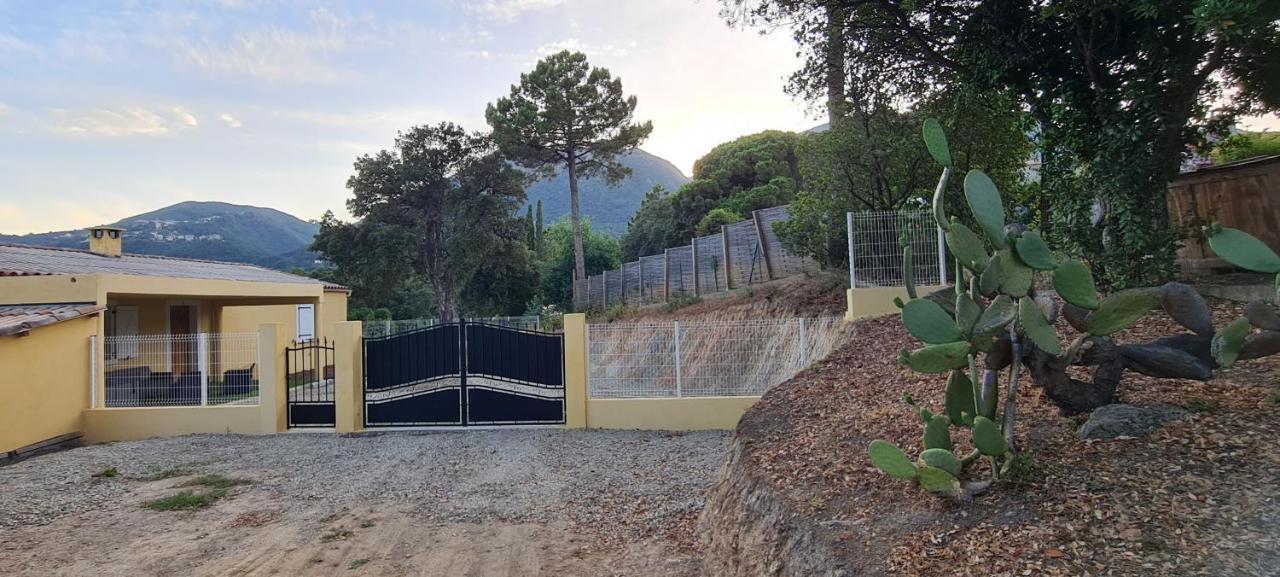 Agreable Rez De Jardin Avec Piscine Et Jacuzzi Διαμέρισμα Cervione Εξωτερικό φωτογραφία